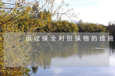 诉讼保全对担保物的措施 诉讼保全对担保物的措施