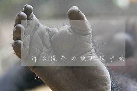 诉讼保全必须担保书吗 诉讼保全必须担保书吗