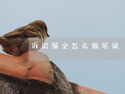 诉讼保全怎么做笔录 诉讼保全怎么做笔录