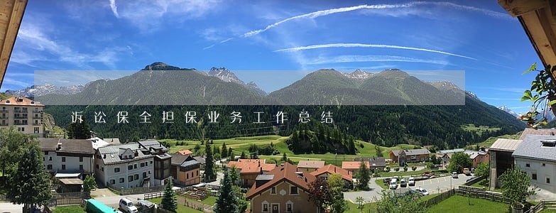 诉讼保全担保业务工作总结 诉讼保全担保业务工作总结