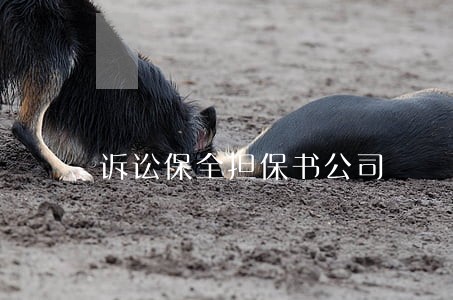 诉讼保全担保书公司 诉讼保全担保书公司