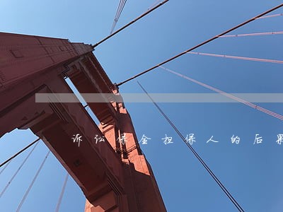诉讼保全担保人的后果 诉讼保全担保人的后果