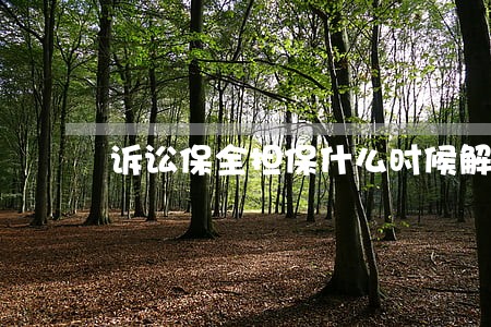 诉讼保全担保什么时候解封 诉讼保全担保什么时候解封