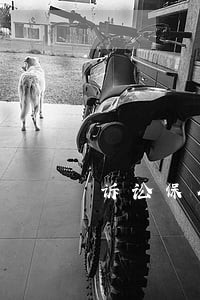 诉讼保全担保公司如何成立 诉讼保全担保公司如何成立