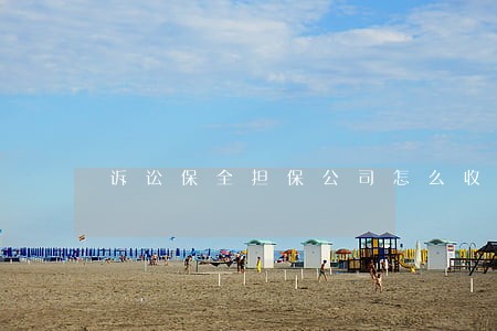 诉讼保全担保公司怎么收费标准 诉讼保全担保公司怎么收费标准