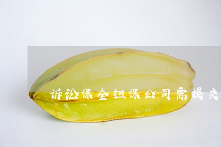 诉讼保全担保公司需提交材料 诉讼保全担保公司需提交材料