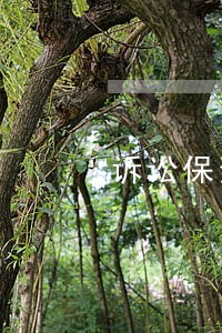 诉讼保全担保分类