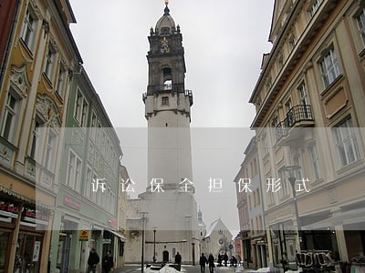 诉讼保全担保形式