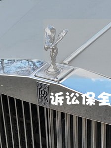 诉讼保全担保承诺万 诉讼保全担保承诺万