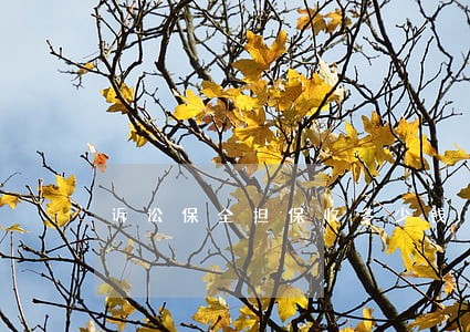 诉讼保全担保收多少钱 诉讼保全担保收多少钱