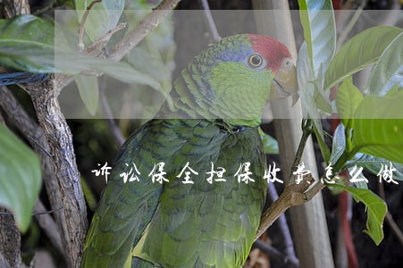诉讼保全担保收费怎么做账 诉讼保全担保收费怎么做账