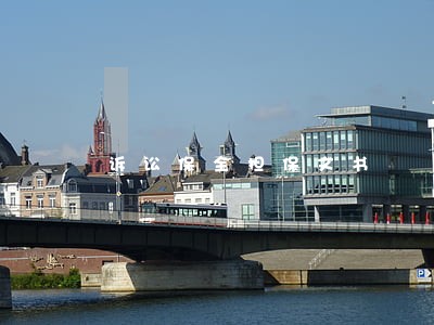 诉讼保全担保文书 诉讼保全担保文书