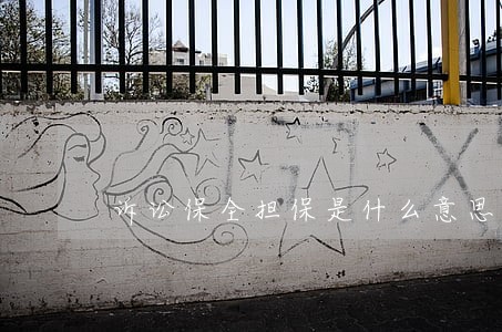 诉讼保全担保是什么意思 诉讼保全担保是什么意思