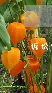 诉讼保全担保最新文件 诉讼保全担保最新文件