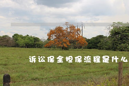 诉讼保全担保流程是什么 诉讼保全担保流程是什么