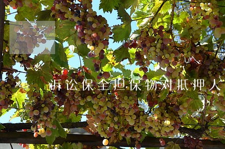 诉讼保全担保物对抵押人的影响 诉讼保全担保物对抵押人的影响