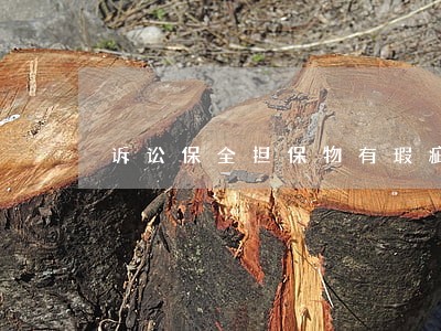 诉讼保全担保物有瑕疵 诉讼保全担保物有瑕疵