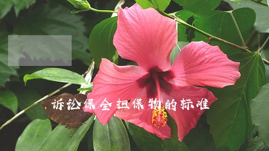 诉讼保全担保物的标准 诉讼保全担保物的标准