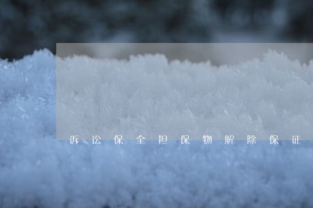 诉讼保全担保物解除保证 诉讼保全担保物解除保证