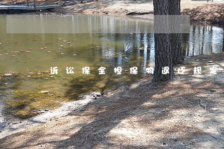 诉讼保全担保物退还规定 诉讼保全担保物退还规定