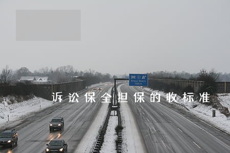 诉讼保全担保的收标准
