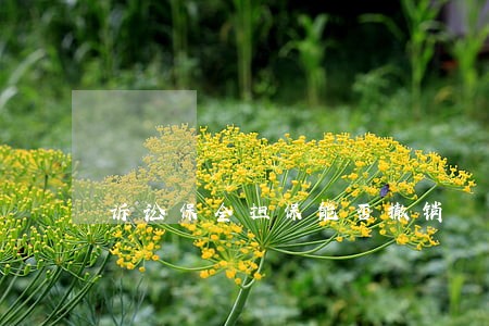诉讼保全担保能否撤销 诉讼保全担保能否撤销