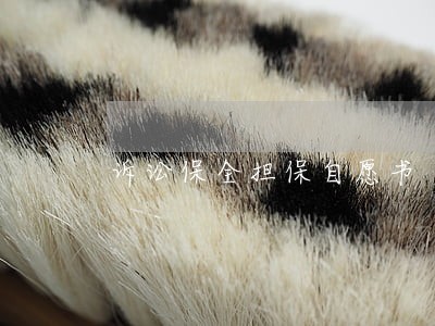 诉讼保全担保自愿书 诉讼保全担保自愿书