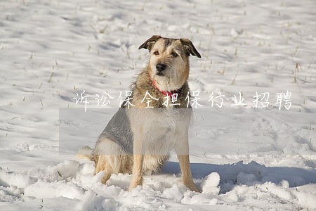 诉讼保全担保行业招聘 诉讼保全担保行业招聘