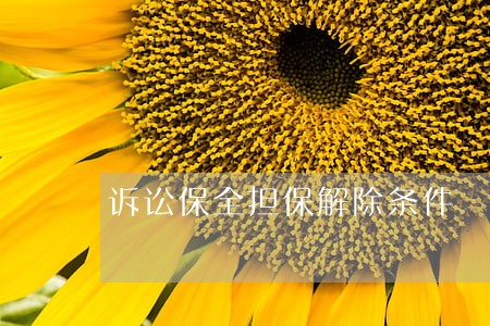 诉讼保全担保解除条件
