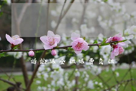 诉讼保全担保费负担 诉讼保全担保费负担