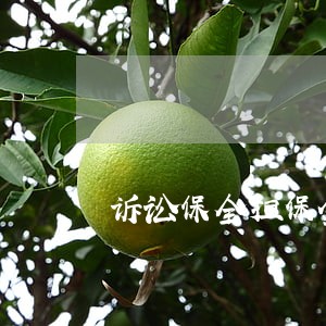 诉讼保全担保金如确定
