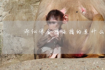诉讼保全措施指的是什么