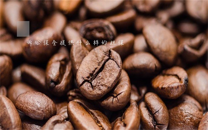 诉讼保全提供什么样的担保 诉讼保全提供什么样的担保