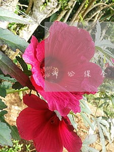诉讼保全提供担保怎么提供 诉讼保全提供担保怎么提供