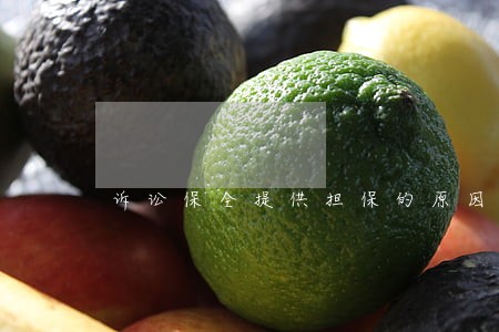 诉讼保全提供担保的原因 诉讼保全提供担保的原因