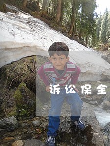 诉讼保全提供担保的形式 诉讼保全提供担保的形式