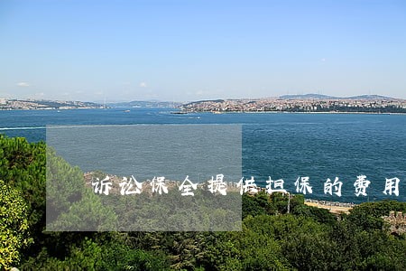 诉讼保全提供担保的费用标准 诉讼保全提供担保的费用标准