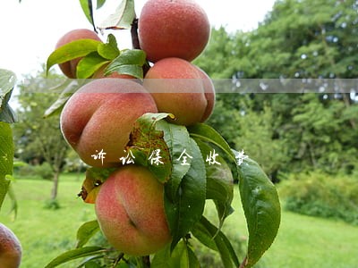 诉讼保全收费 诉讼保全收费