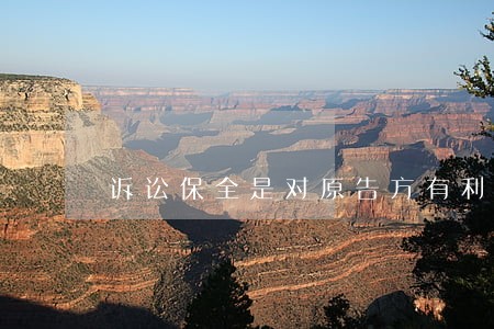 诉讼保全是对原告方有利 诉讼保全是对原告方有利