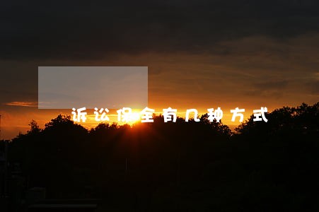 诉讼保全有几种方式