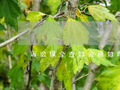 诉讼保全查封会通知吗 诉讼保全查封会通知吗