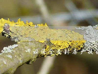 诉讼保全查封房产提供担保