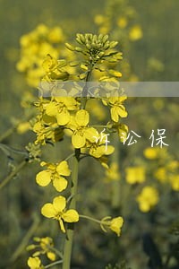 诉讼保全案件受理时间