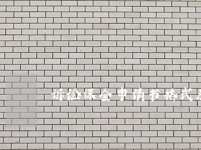 诉讼保全申请书格式及范文 诉讼保全申请书格式及范文