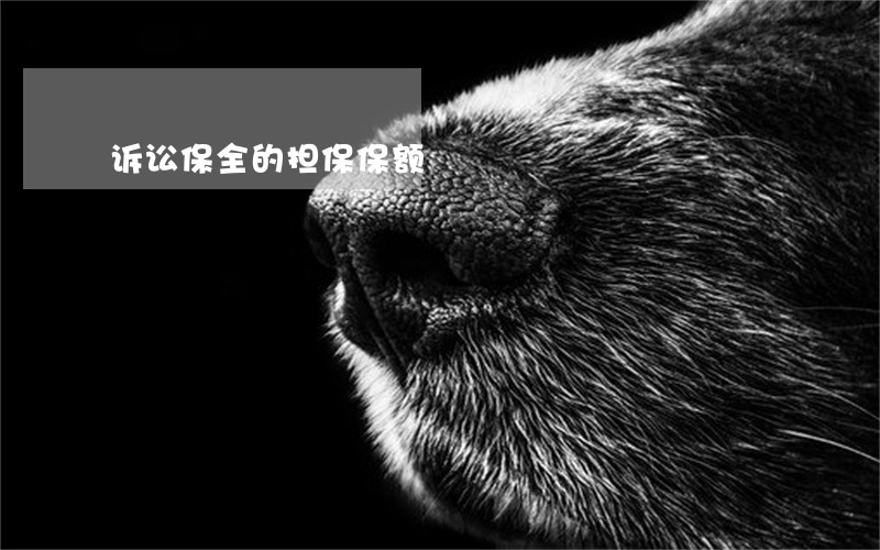 诉讼保全的担保保额