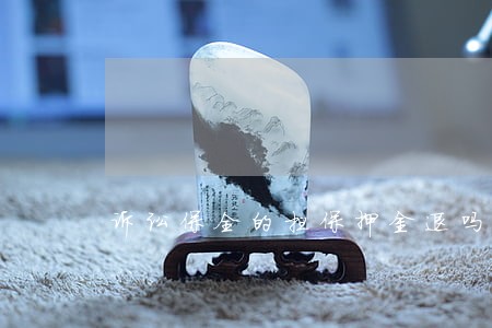 诉讼保全的担保押金退吗