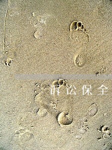 诉讼保全第担保