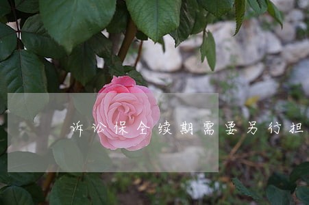 诉讼保全续期需要另行担保吗 诉讼保全续期需要另行担保吗