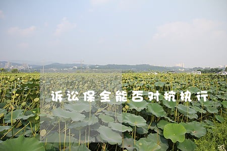 诉讼保全能否对抗执行