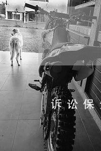 诉讼保全能成功打官司能赢吗 诉讼保全能成功打官司能赢吗